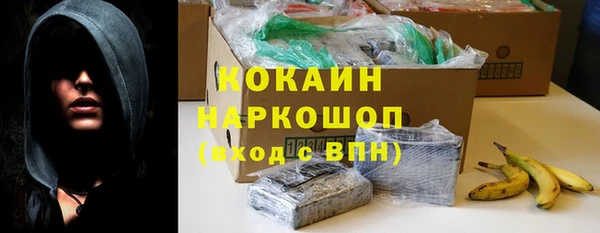 молекула духа Михайлов