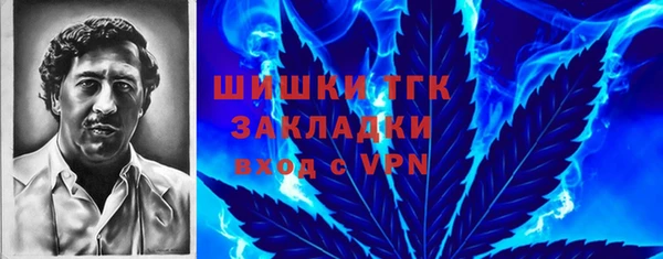 индика Апатиты