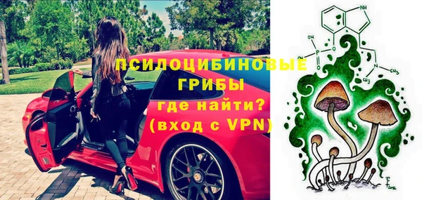 гашик Медвежьегорск