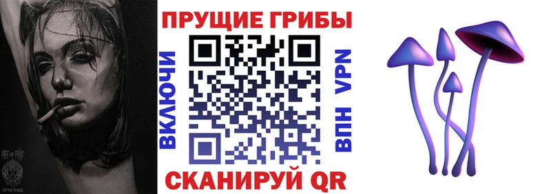 hydra ONION  Малая Вишера  shop телеграм  Галлюциногенные грибы GOLDEN TEACHER 